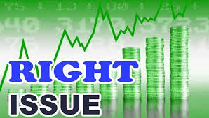 खानी खोला हाइड्रोपावरको १०० प्रतिशत हकप्रद शेयर निष्काशन सुरु